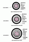 PTYA,PTYA23,PTYA22鐵路信號電纜