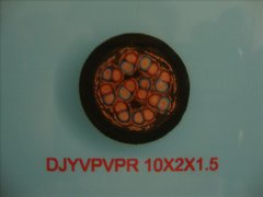 DJYVPVPR 10*2*1.5計算機屏蔽軟電纜