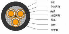 3*2.5，3*3，3*4，3*6，3*10，3*16，3*25屏蔽電纜結構圖